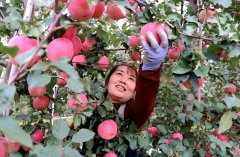 <b>时代中国调研行之看区域·西部篇丨这里的地盘连</b>