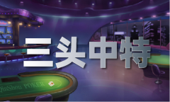 9tk浏览器打开_49tk浏览器打开下载