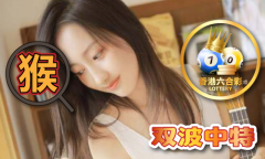 2020年全年材料内 - 年全年材料内老版本下载V