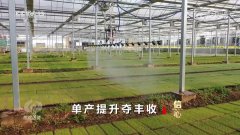 <b>核心 决心2024！本年我国粮食产量初次跨越14万亿</b>