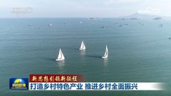 【新思惟引领新征程】打制村落特色财产 推进村